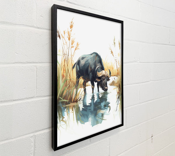Blue Water Buffalo