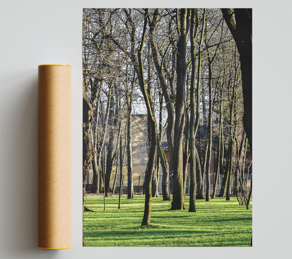 Green Grove Shadows Poster