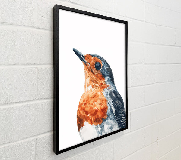 Sunrise Robin Gaze