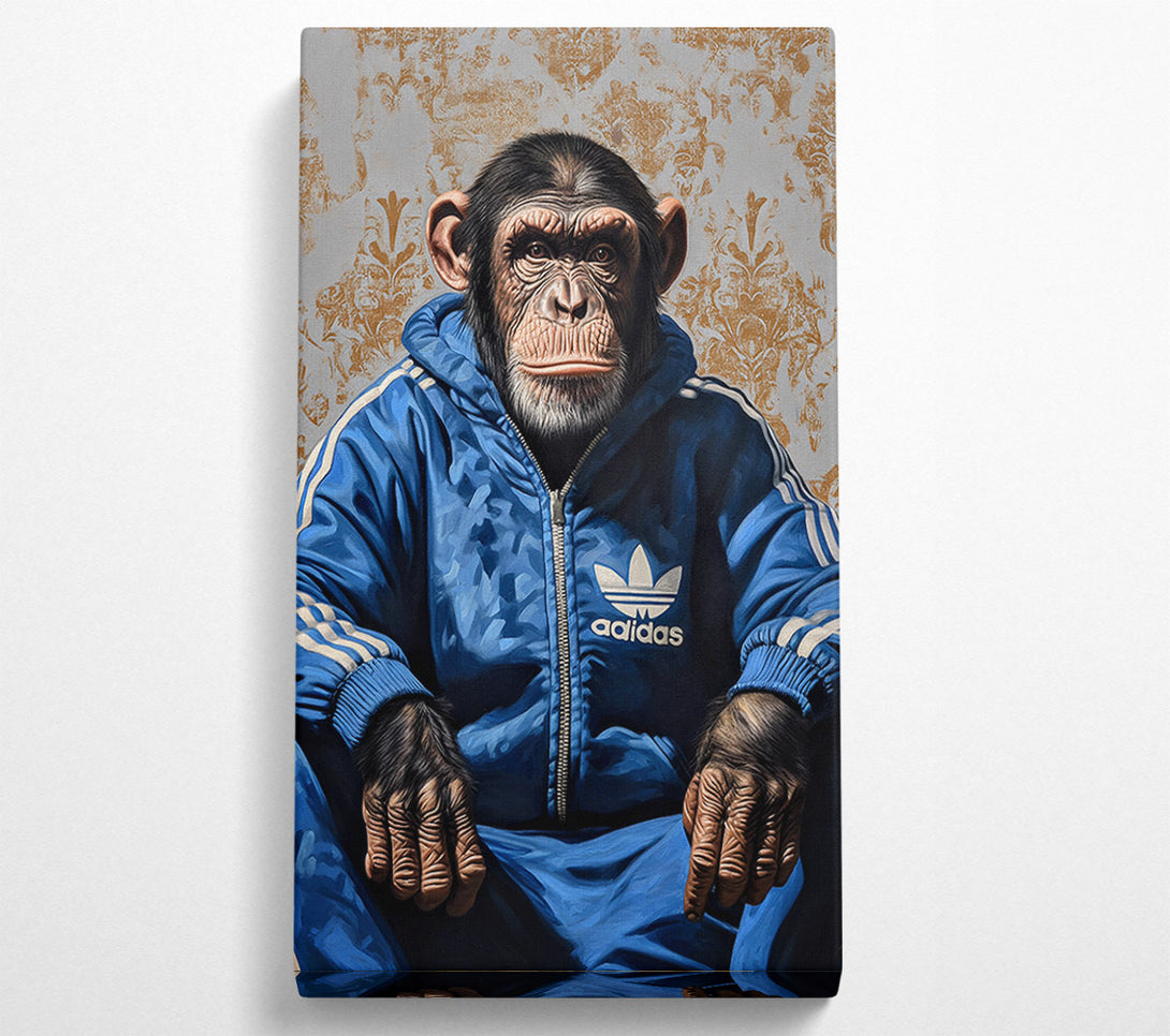 A Canvas Print of Chimp Tracksuit Canvas Art