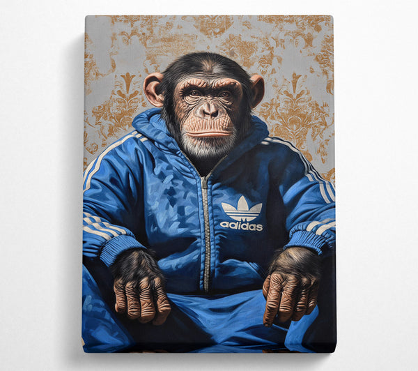 Chimp Tracksuit