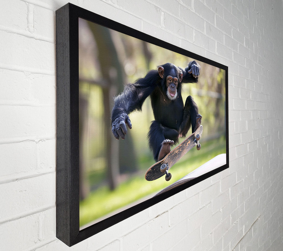  A Canvas Print of Chimpanzee Skating Canvas Art
