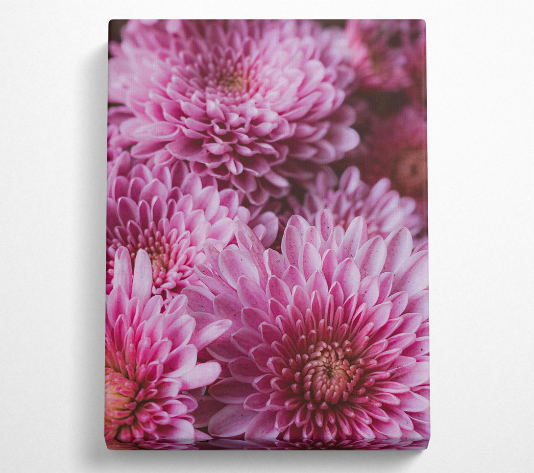  A Canvas Print of Pink Flower Bloom Canvas Art