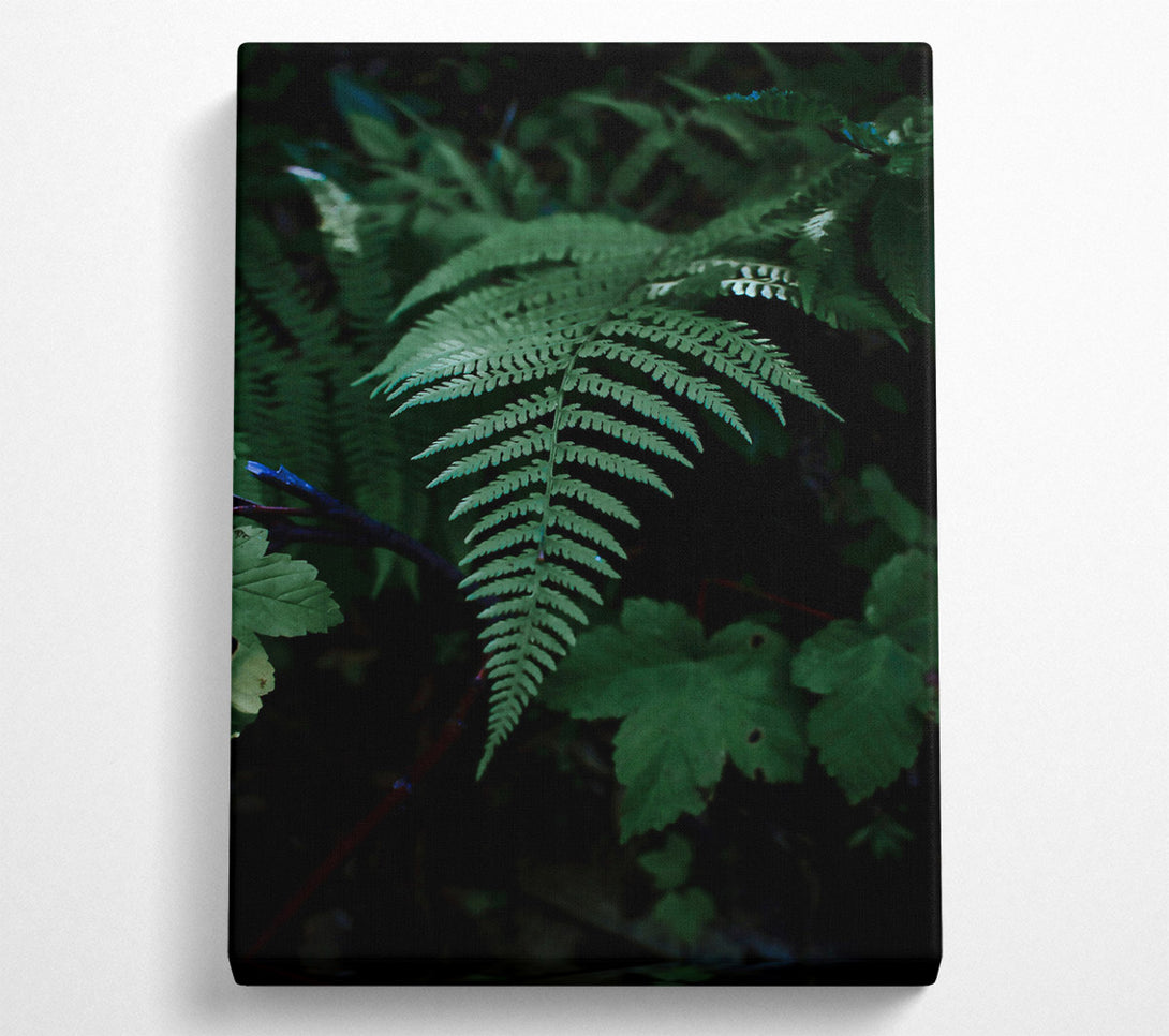  A Canvas Print of Emerald Fern Fronds Canvas Art