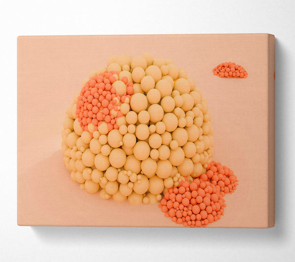  A Canvas Print of Coral Sphere Cluster Canvas Print