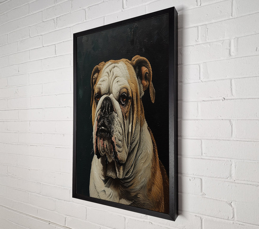  A Canvas Print of The Tan Bulldog Canvas Print