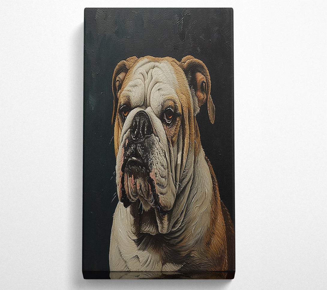  A Canvas Print of The Tan Bulldog Canvas Print
