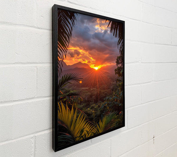 Orange Sunset Jungle Glow