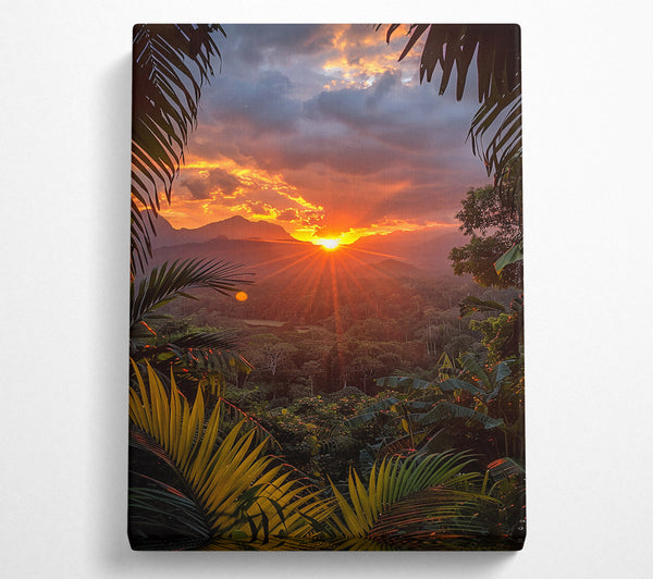 Orange Sunset Jungle Glow