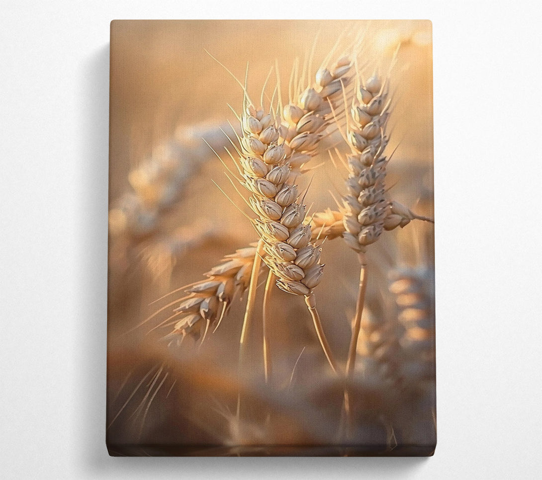  A Canvas Print of Golden Wheat Field Canvas Wall Art