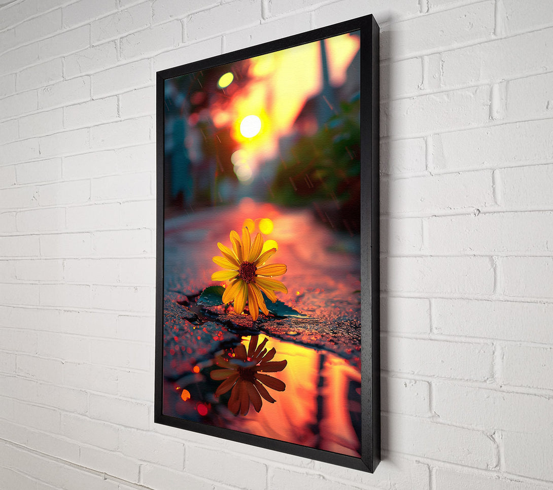  A Canvas Print of Golden Bloom Reflection Canvas Print