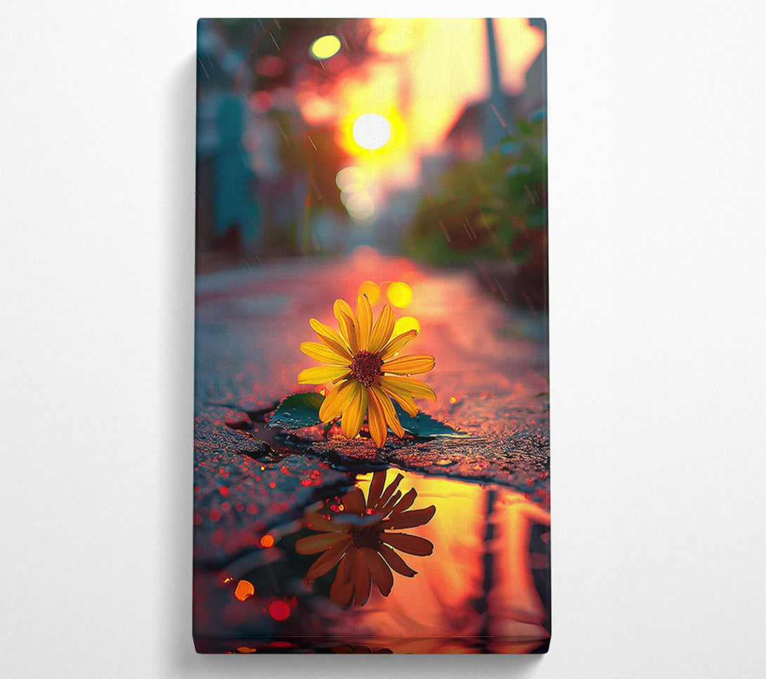  A Canvas Print of Golden Bloom Reflection Canvas Print