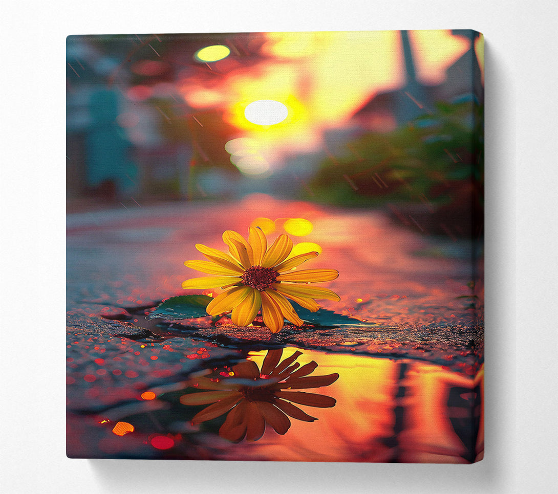  A Canvas Print of Golden Bloom Reflection Canvas Print