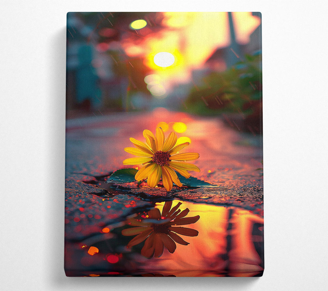  A Canvas Print of Golden Bloom Reflection Canvas Print