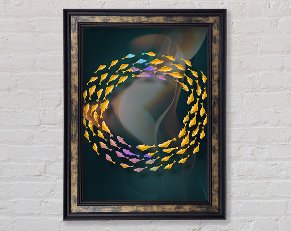 Circle Of Fish