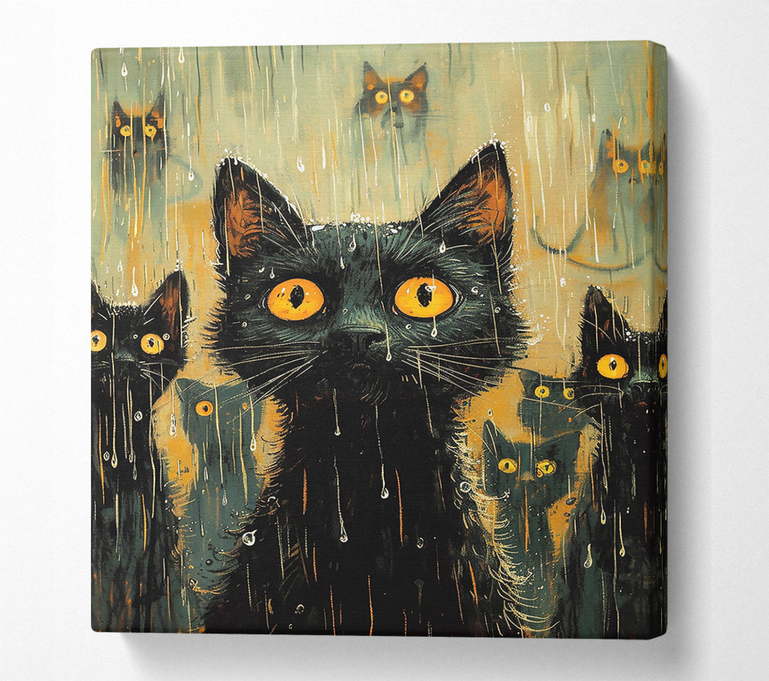  A Canvas Print of Golden Eyes In The Rain Canvas Art