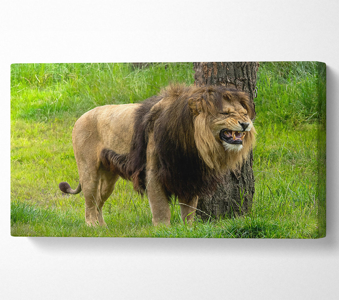  A Canvas Print of The Golden Roar Canvas Wall Art