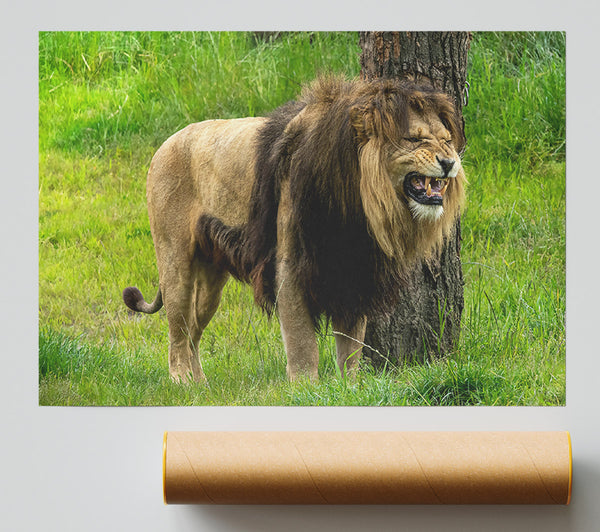 The Golden Roar Poster