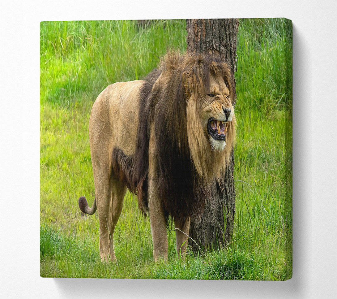  A Canvas Print of The Golden Roar Canvas Wall Art