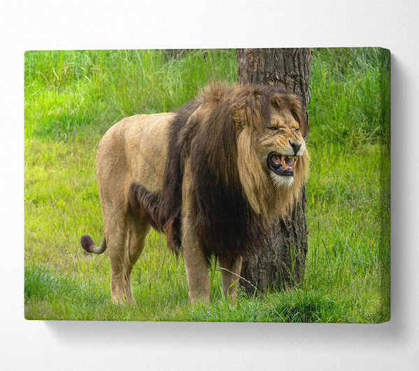  A Canvas Print of The Golden Roar Canvas Wall Art