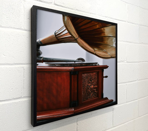 Golden Horned Mahogany