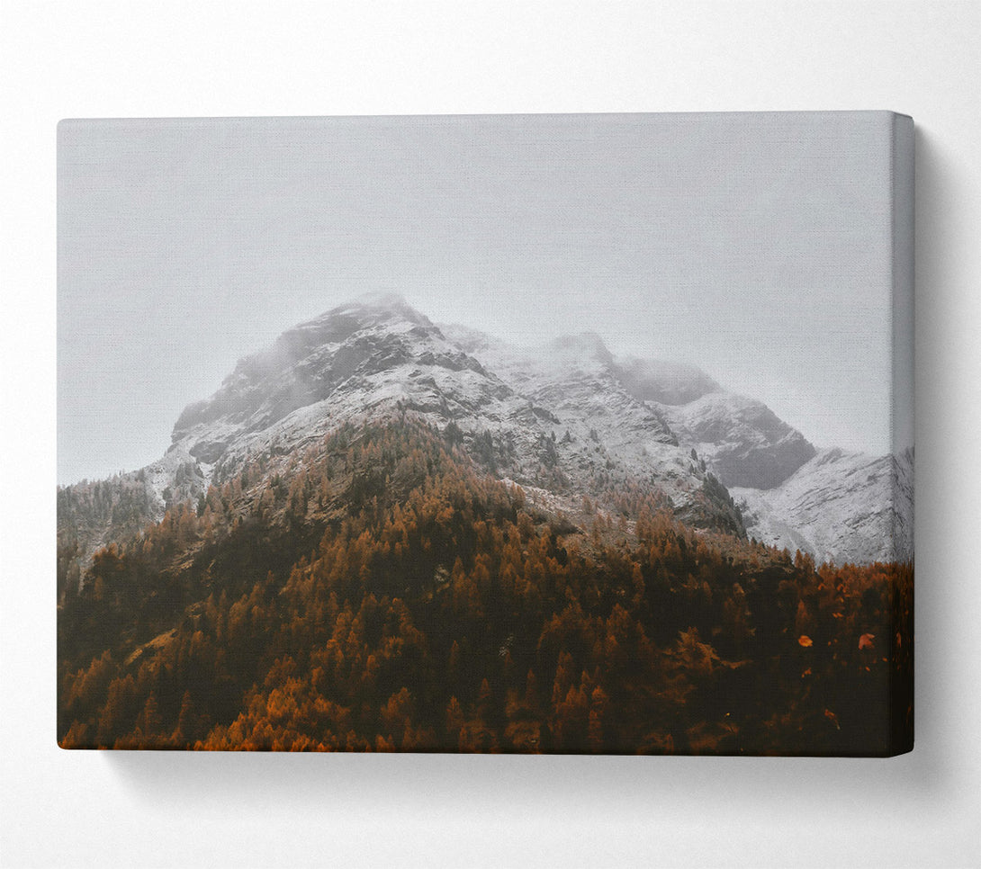  A Canvas Print of Brown Mountain Mist Canvas Art