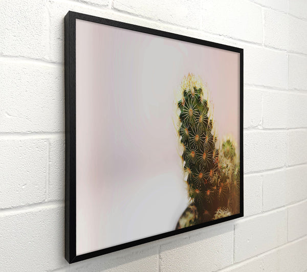 Green Cactus Bloom
