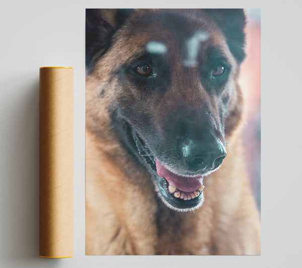 Golden Furred Smile Giclee Print