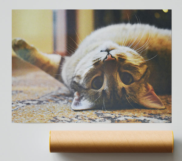 Golden Cat Upside Down Print