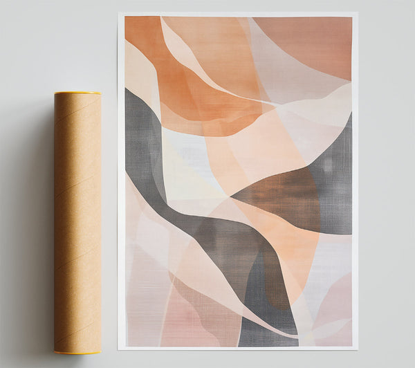 Salmon Swirls Poster