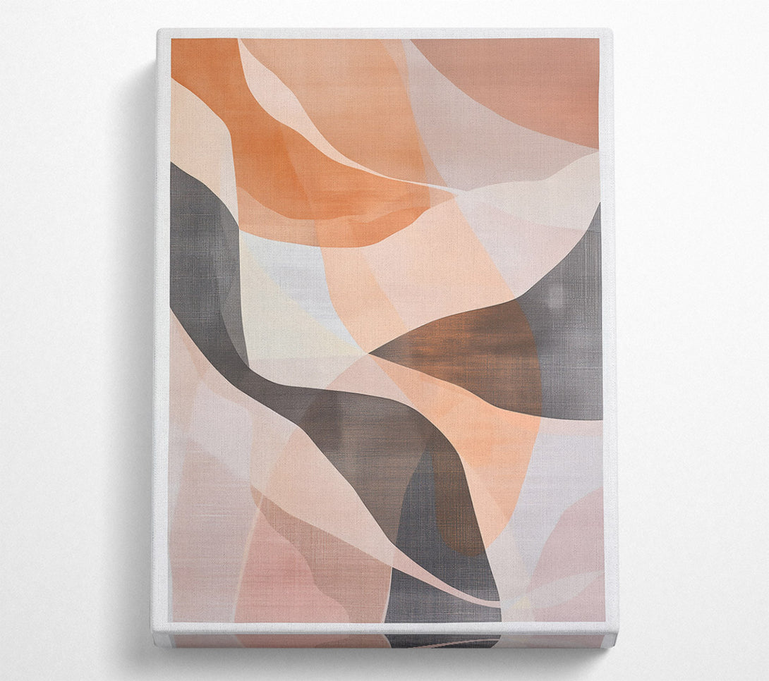  A Canvas Print of Salmon Swirls Canvas Art