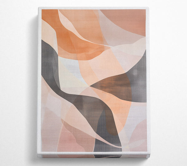  A Canvas Print of Salmon Swirls Canvas Art