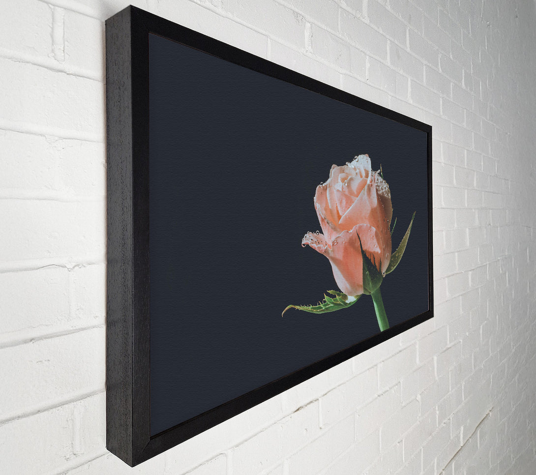  A Canvas Print of The Blush Of Dawn. Canvas Print