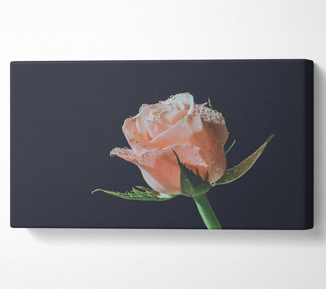  A Canvas Print of The Blush Of Dawn. Canvas Print
