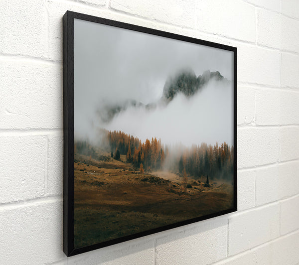 Golden Foggy Mountainside