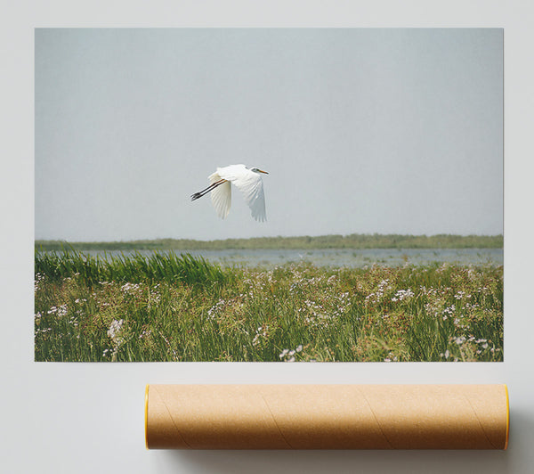 White Flight Over Green Poster