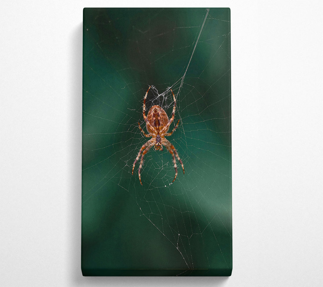  A Canvas Print of Green Web Weaver Canvas Print