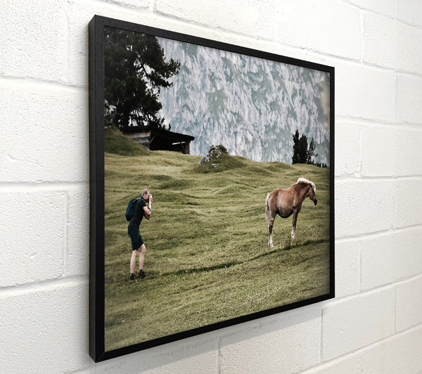 Green Mountain Horse