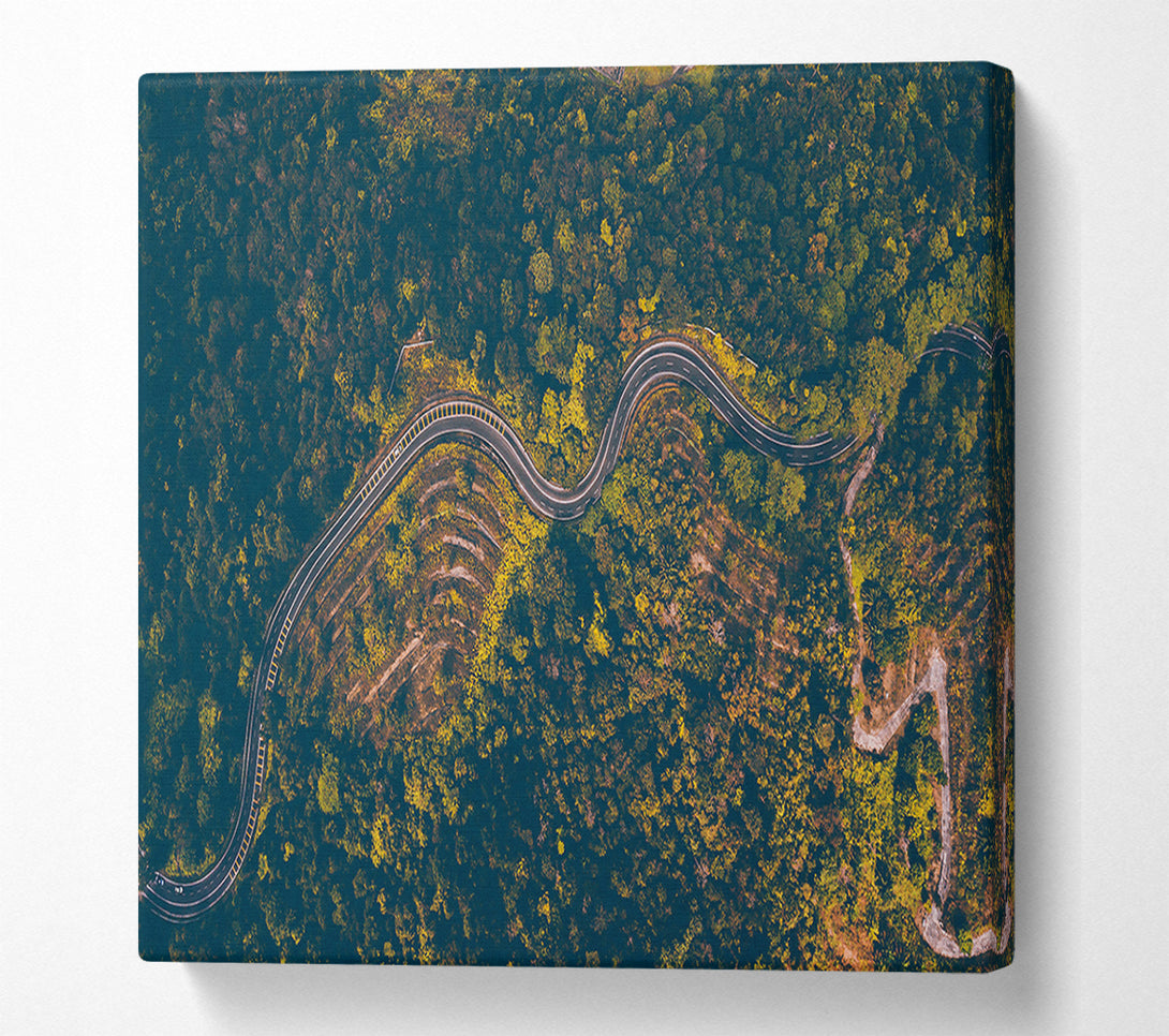  A Canvas Print of Green Winding Road Canvas Wall Art