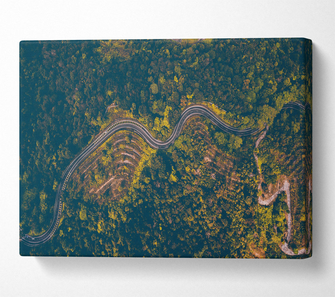  A Canvas Print of Green Winding Road Canvas Wall Art