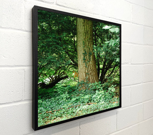 Green Forest Embrace