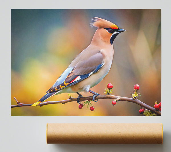 Orange Winged Beauty Giclee Print