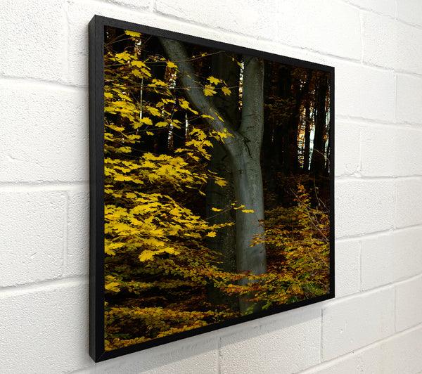 Golden Forest Embrace