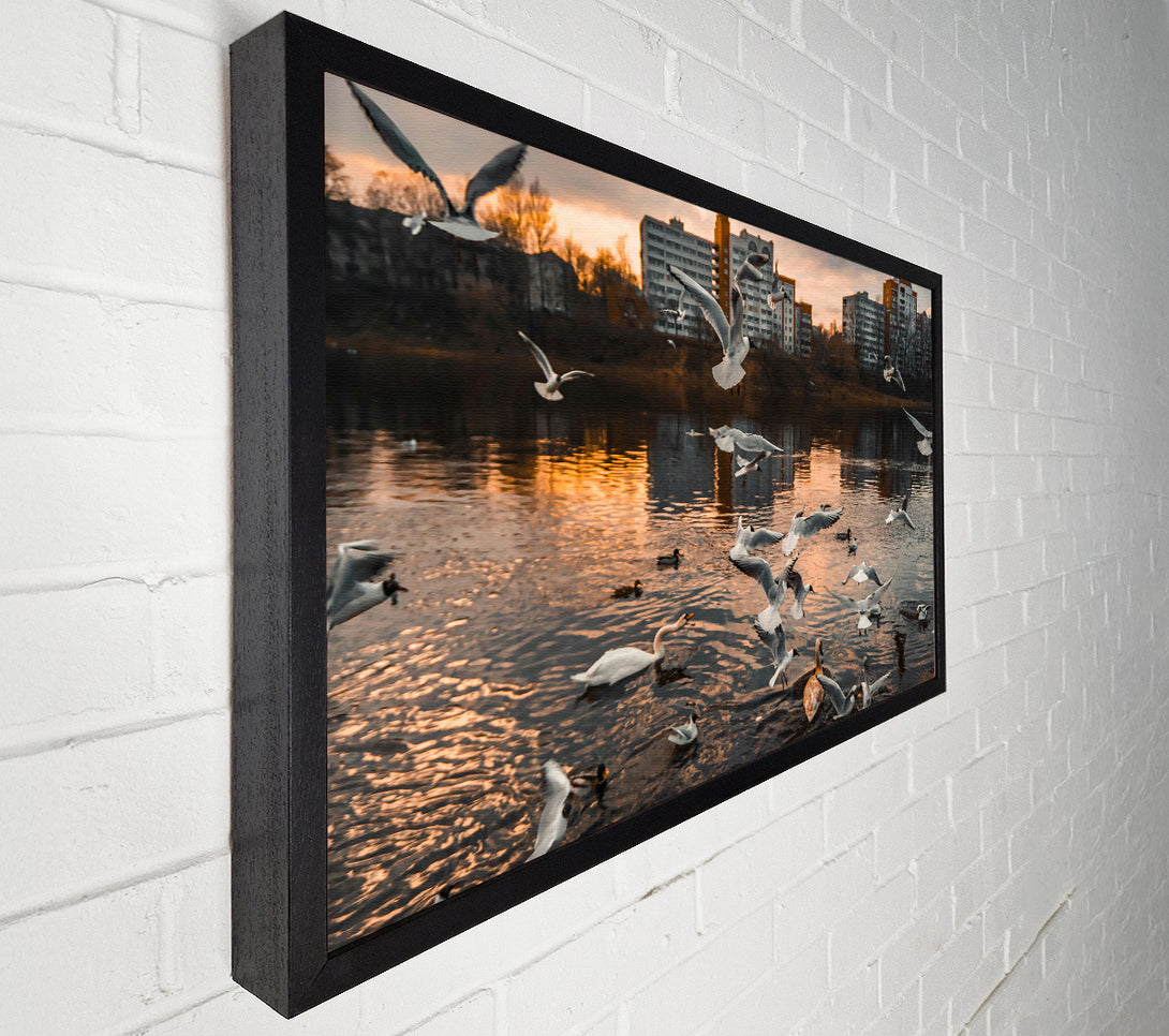  A Canvas Print of Golden Flock On Water Canvas Wall Art