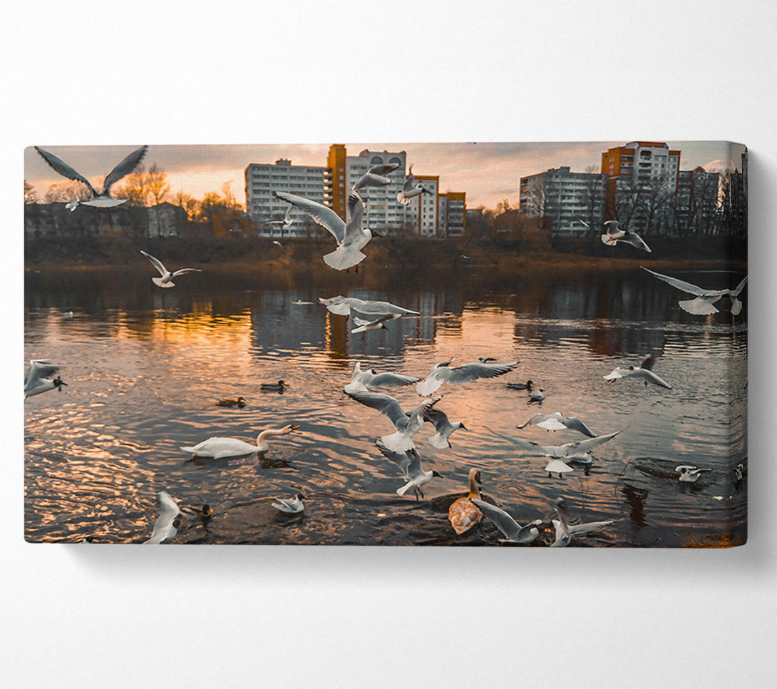  A Canvas Print of Golden Flock On Water Canvas Wall Art