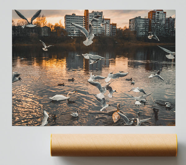 Golden Flock On Water Poster