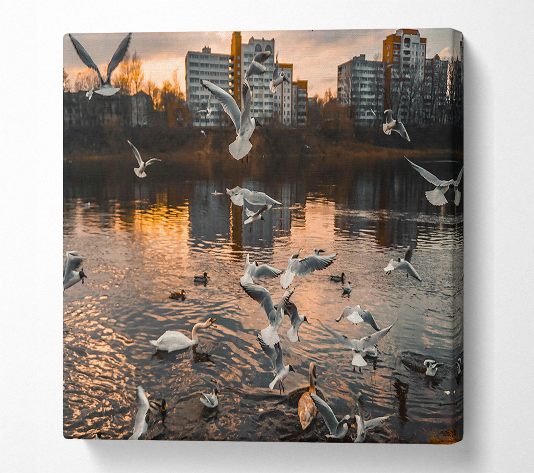  A Canvas Print of Golden Flock On Water Canvas Wall Art