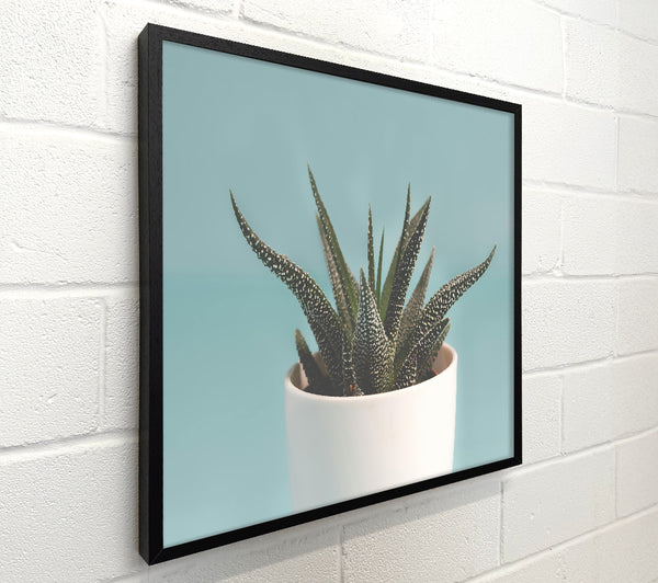 Teal Potted Plant