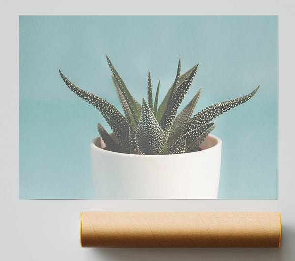 Teal Potted Plant Print
