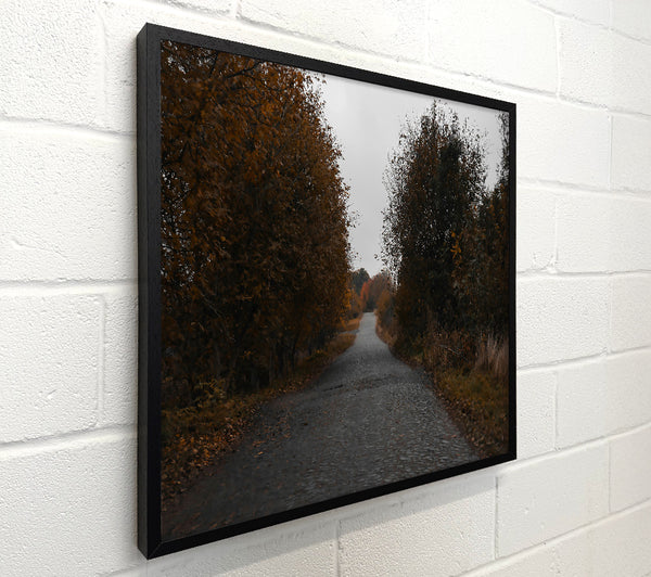 Autumn'S Golden Path